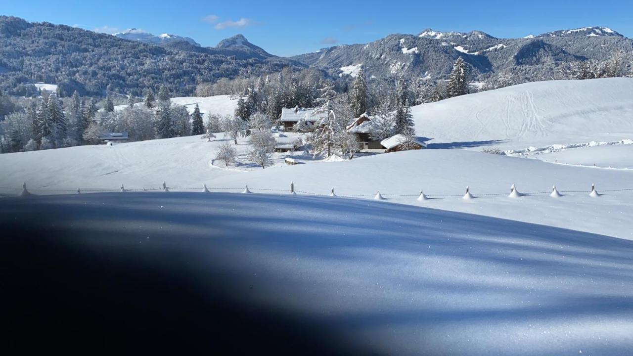 Landhaus Am Plattenbichl - Luxus Apartment Mit Privat-Pool Und Sauna - Im Sommer Bergbahn Inklusive اوبرستدورف المظهر الخارجي الصورة